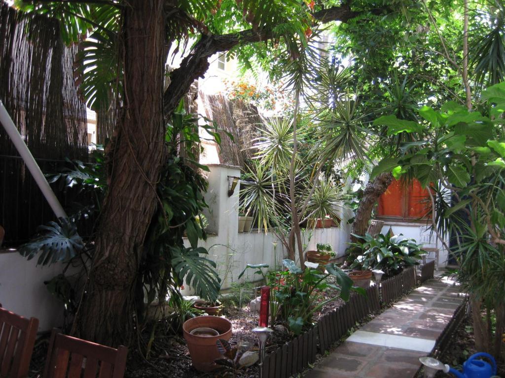 Hostal Las Acacias มาลากา ภายนอก รูปภาพ